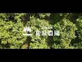 自然栽培「伊予柑の花」2021年5月初旬 和泉農園