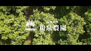 自然栽培「伊予柑の花」2021年5月初旬 和泉農園