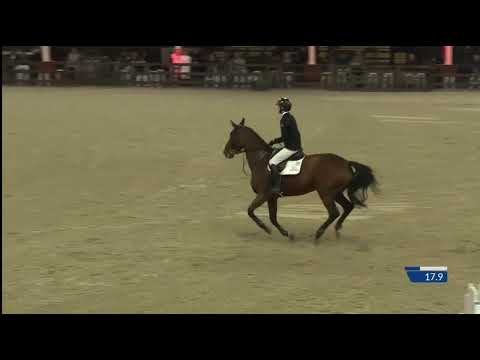 Rosa KC 145 LR CSI2* Lier JO 1st place