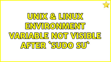 Unix & Linux: Environment variable not visible after `sudo su` (2 Solutions!!)