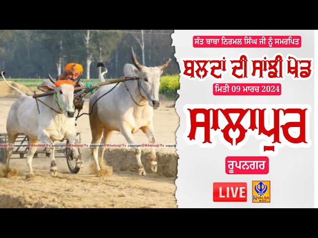 🔴[Live] Salapur | Rupnagar |  ਬੈਲ ਗੱਡੀਆਂ ਦੀਆਂ ਦੌੜਾਂ | Ox Races | 09 March 2024 class=