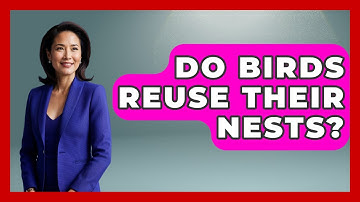Do Birds Reuse Their Nests? | Exploring Campgrounds