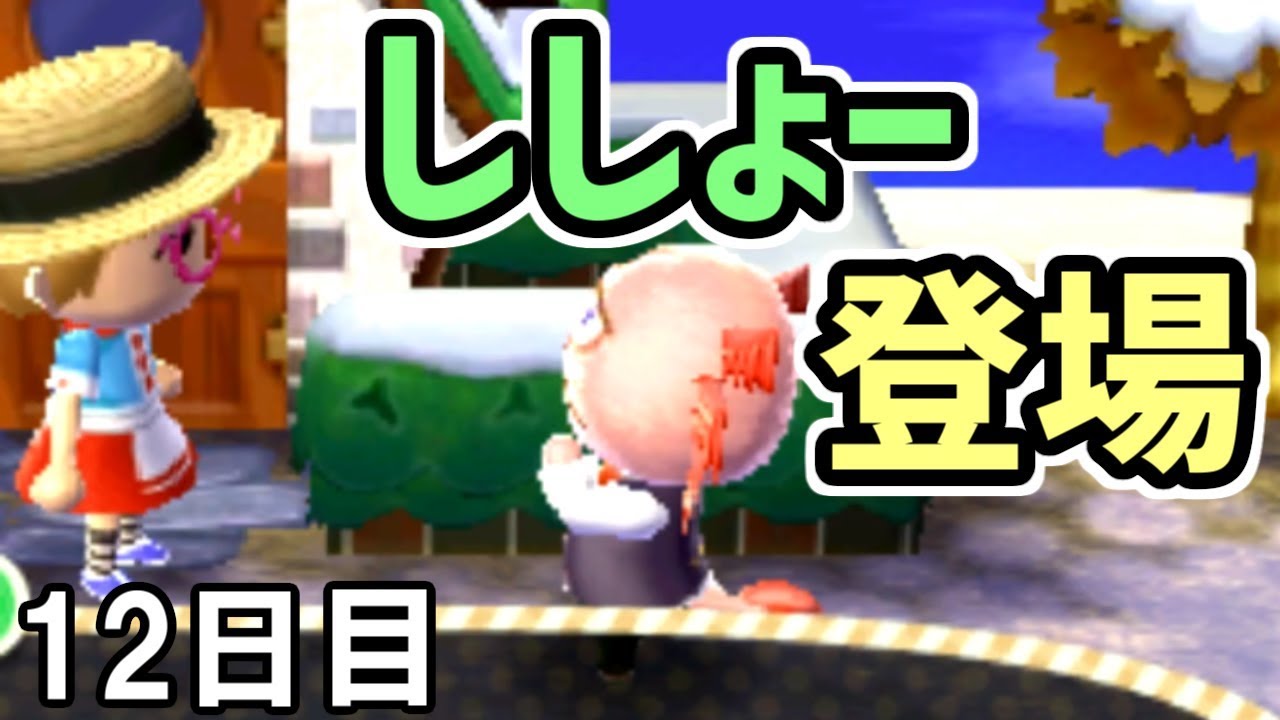 とび森 12 さまざまなリアクションを教えてくれるししょー初登場 とびだせどうぶつの森 斜め滝村 実況 Youtube