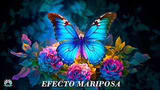 Just listen and attract miracles to your life  you are ready for a better life  butterfly effect