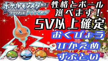 配布ロトム 配布ロトム
