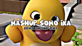 Mashup  Somo Ika Bremer Domillano Remix 