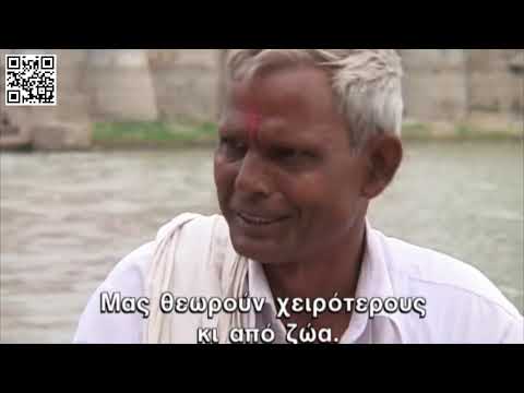Βίντεο: Είναι όλες οι αγελάδες ιερές στην Ινδία;