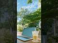 夏の朝ボサノバ🍃青空と緑の公園カフェで聴く#朝ボサノバ #作業用BGM #shorts #朝カフェbgm