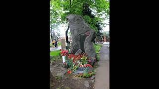 Ben Bir Ceviz Ağacıyım / Nhr - ...