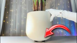 Amazon Product Review - Self Adhesive Wheels for Plants, Craft Builds, Sculptures, Small Objects