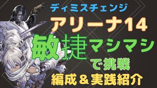 アリーナ14 　敏捷マシマシで挑戦　破砕裂ノエル　編成＆実践紹介　[リィンカネ]