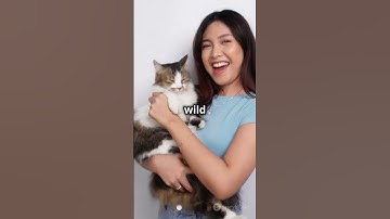 Taylor Swift!! - 10 Fun Facts You Didn