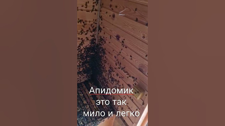 Апидомик для тех кто без пчёл.