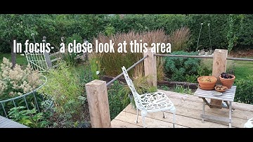 A close look at the floating deck area, some nice plants to see in the long border