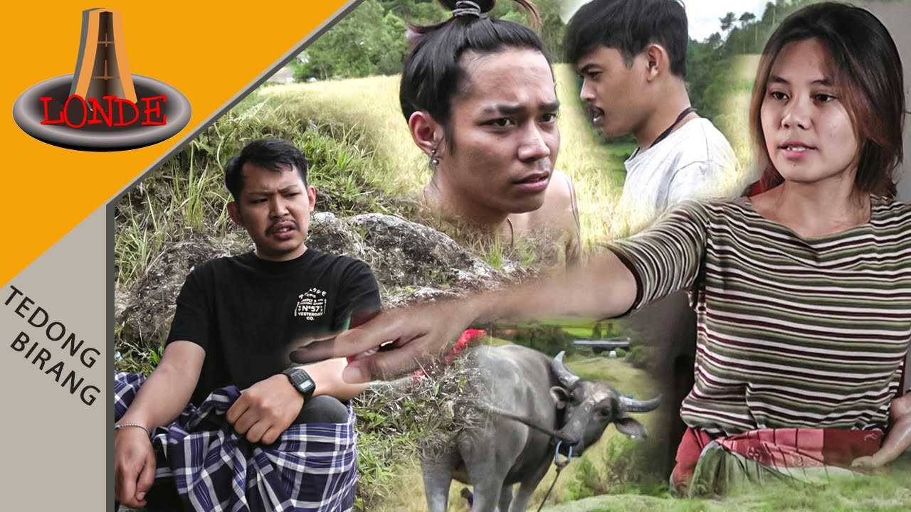 LONDE OFFICIAL - Tedong Birang