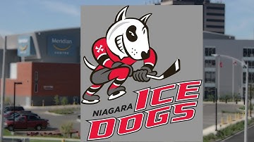 IceDogs Preview