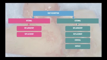 Root Resorption - Preview