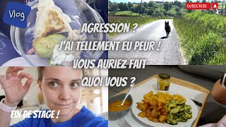 ⌜VLOG⌝ Agression ? Vous auriez fait quoi vous ? Perso, j'ai tellement eu peur ! Fin de stage ! 🏥