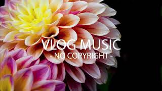 Ikson - Blossom (VLOG MUSIC - No Copyright)