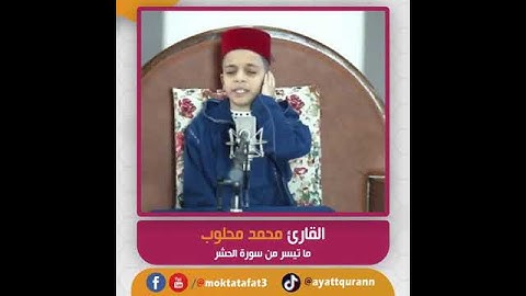 القارئ محمد محلوب - ما تيسر من سورة الحشر