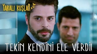 Tekin Kendisini Ele Verdi! | Yaralı Kuşlar 40. Bölüm