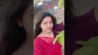 Bol Radha Bol 🥰 | 60's Old Hindi Evergreen Hit Song 💞 🎶 | Sangam | Mukesh, Vyjayanthimala
