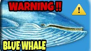 WARNING!! BLUE WHALE (DANGEROUS GAME) || DON'T PLAY THIS GAME || screenshot 5