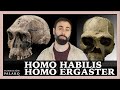 🔹 HOMO HABILIS y HOMO ERGASTER | Las principales especies de homininos y etapas de la prehistoria