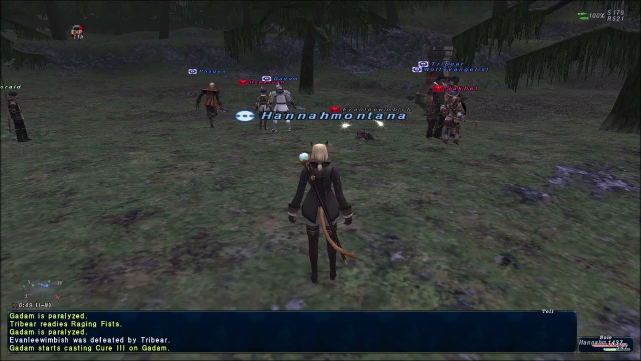 So this is FFXI's PVP? [Final Fantasy XI]