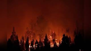 South Georgia Wildfires Spiral as State of Emergency Declared #GeorgiaWildfires #StateOfEmergency