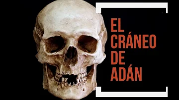 ¿Dónde está el cráneo de Adán?