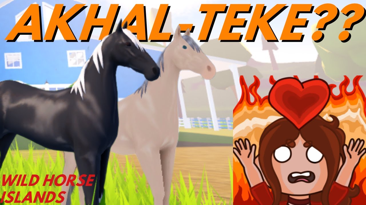 I CAUGHT the NEW AKHAL TEKE in WILD HORSE ISLANDS on ROBLOX YouTube