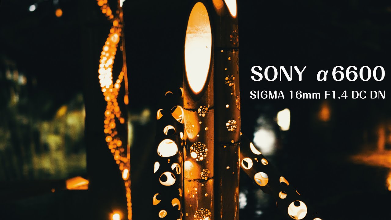 Sony A6600 + Sigma 16mm F1.4 DC DN | Higo-Hosokawa Garden