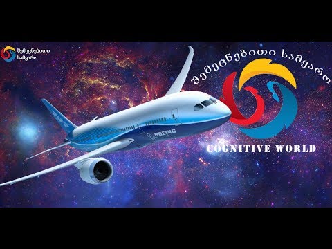 სასწაულად გადარჩენილი მგზავრები და პილოტების გმირული საქციელი - ჰუდსონის სასწაული