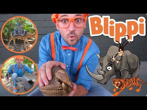 Blippi | Blippi Visits a Zoo (Phoenix Zoo) + MORE ! | Songs for Kids |  Educational Videos for Kids