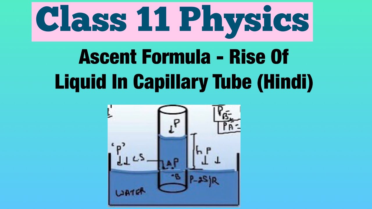 Ascent Formula Rise Of Liquid In Capillary Tube (Hindi) Class 11