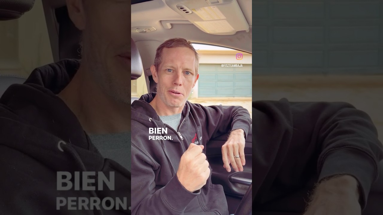 BIEN PERRON! CaboHomesFitzTeam.com 👈🏼 Search our NEW curated website with MLS listings in Baja Sur