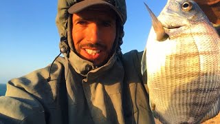 Peche cap barbas sud Maroc  - فيديو جديد من مصيد كاب بارباص جنوب المغرب