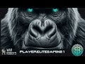 ЁЯЫСLIVE V287 PLAYER ELITE ЁЯЫСLIVE ЁЯФе Solo Duo Mix Squad ЁЯФеWAR ROBOTS Warrobots Wr Killsquad ЁЯЫСLIVE V287 PLAYER ELITE ЁЯЫСLIVE ЁЯФе Solo Duo Mix Squad ЁЯФеWAR ROBOTS Warrobots Wr Killsquad
