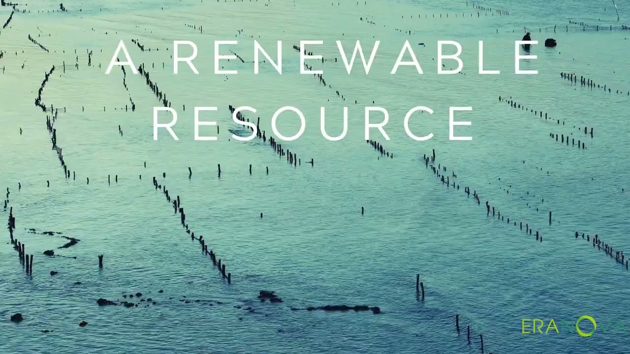 Turning Algae into Plastic: Eranova's Innovative Solution