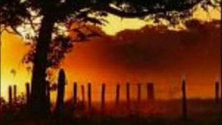 Tonico & Tinoco - Curitibana
