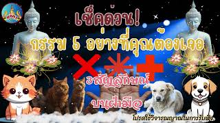 เช็คด่วน! กรรม 5 อย่างที่คุณต้องเจอ คนมีเส้นกากบาท ดอกจันทร์ เครื่องหมายบวก 3 สัญลักษณ์นี้บนฝ่ามือ