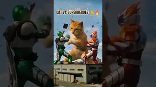 VR Professor Meow! 🎮🐈 #shorts#catvsuperhero #funnycats#vractions#catfights #smartcat#gamingmemes