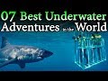 Best underwater adventures in the world  travel nfx