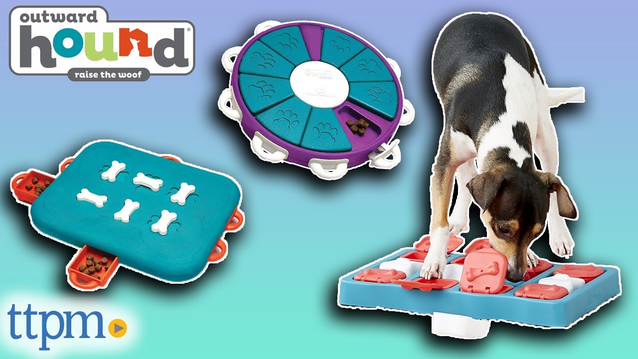 Outward Hound Nina Ottosson Dog Twister Interactive Treat Puzzle Dog Toy,  Advanced