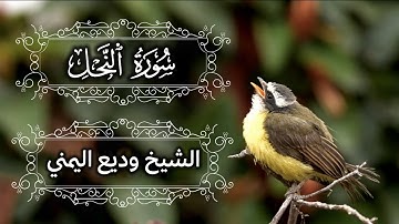 تِلاوة من سورة النحل || الشيخ وديع اليمني #quran 