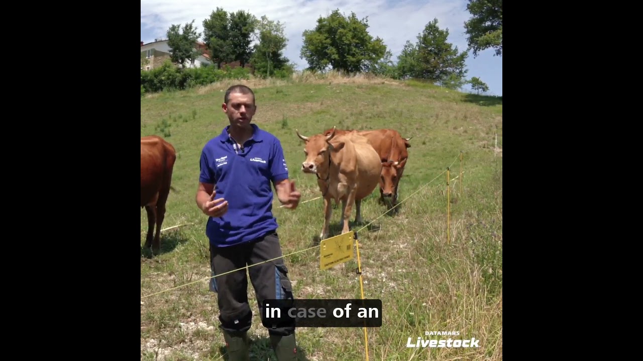 Del Gigante's Farm for Temporary Fences