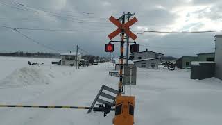 JR北海道 H100形(H100-78)富良野線 旭川～富良野 車窓