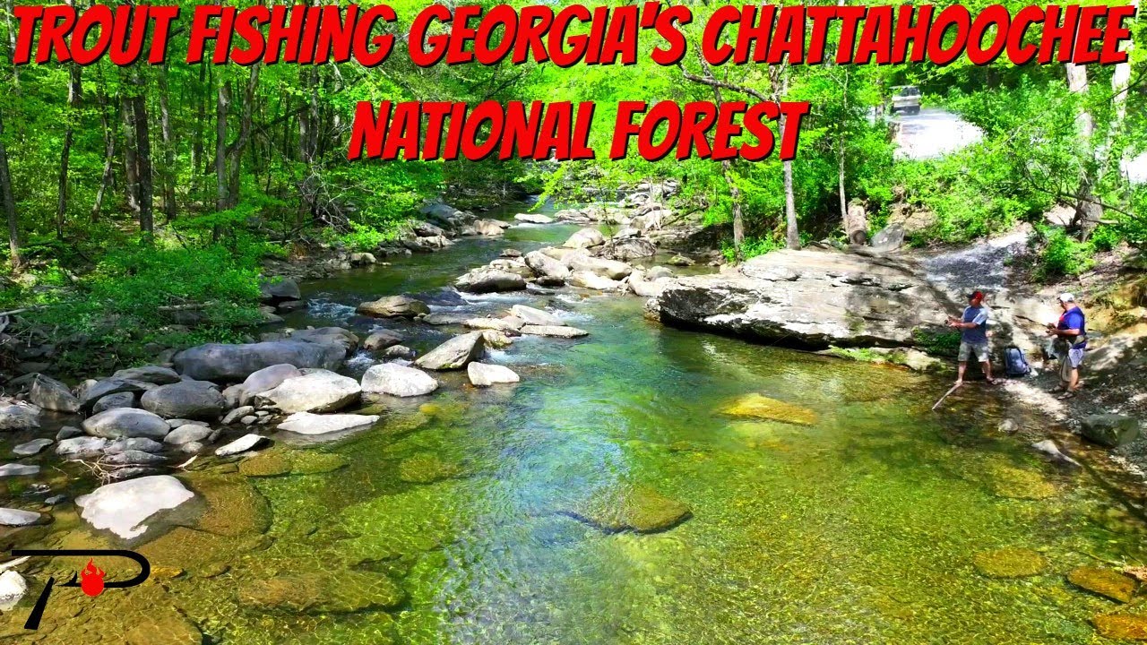 Chattahoochee National Forest Georgia