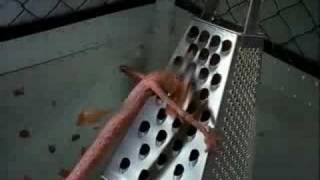 Peperami Advert - Cheese Grater
